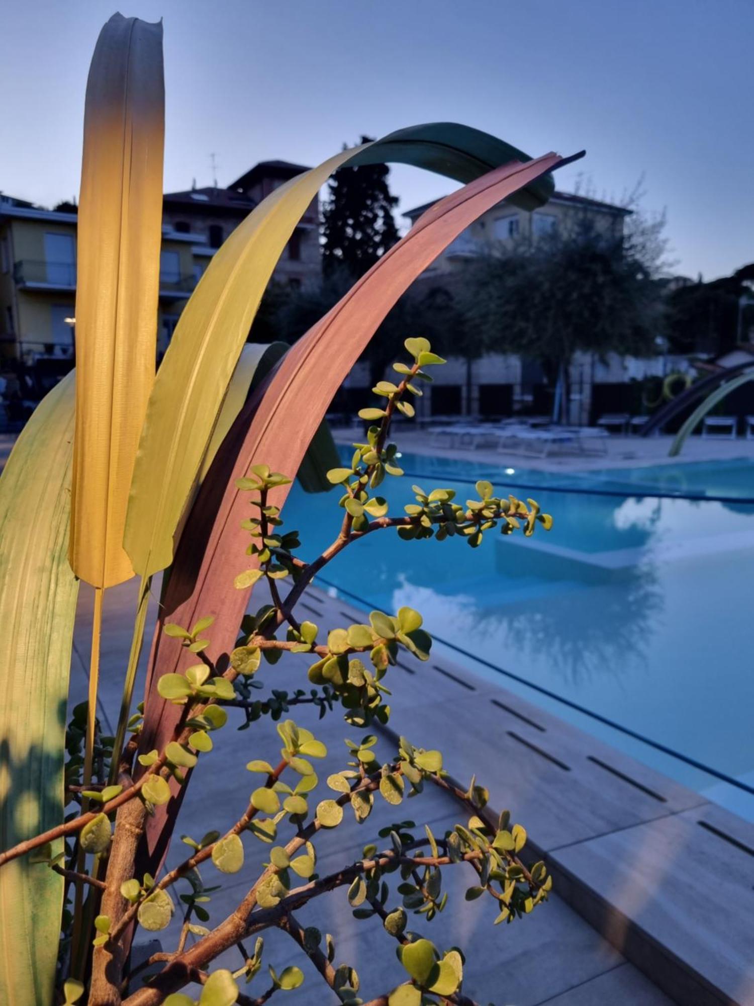 Hotel Villa Igea Diano Marina Buitenkant foto